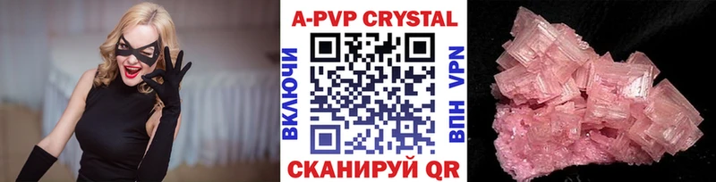 kraken как зайти  Нытва  Альфа ПВП СК 
