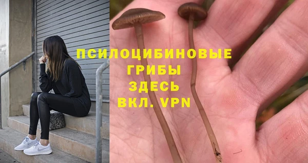 марихуана Баксан