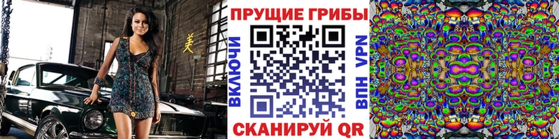 блэк спрут как войти сколько стоит Нытва Галлюциногенные грибы Psilocybine cubensis